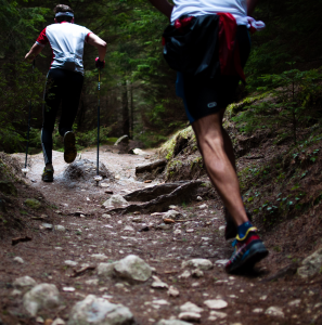 Ultimatetraininggear.com