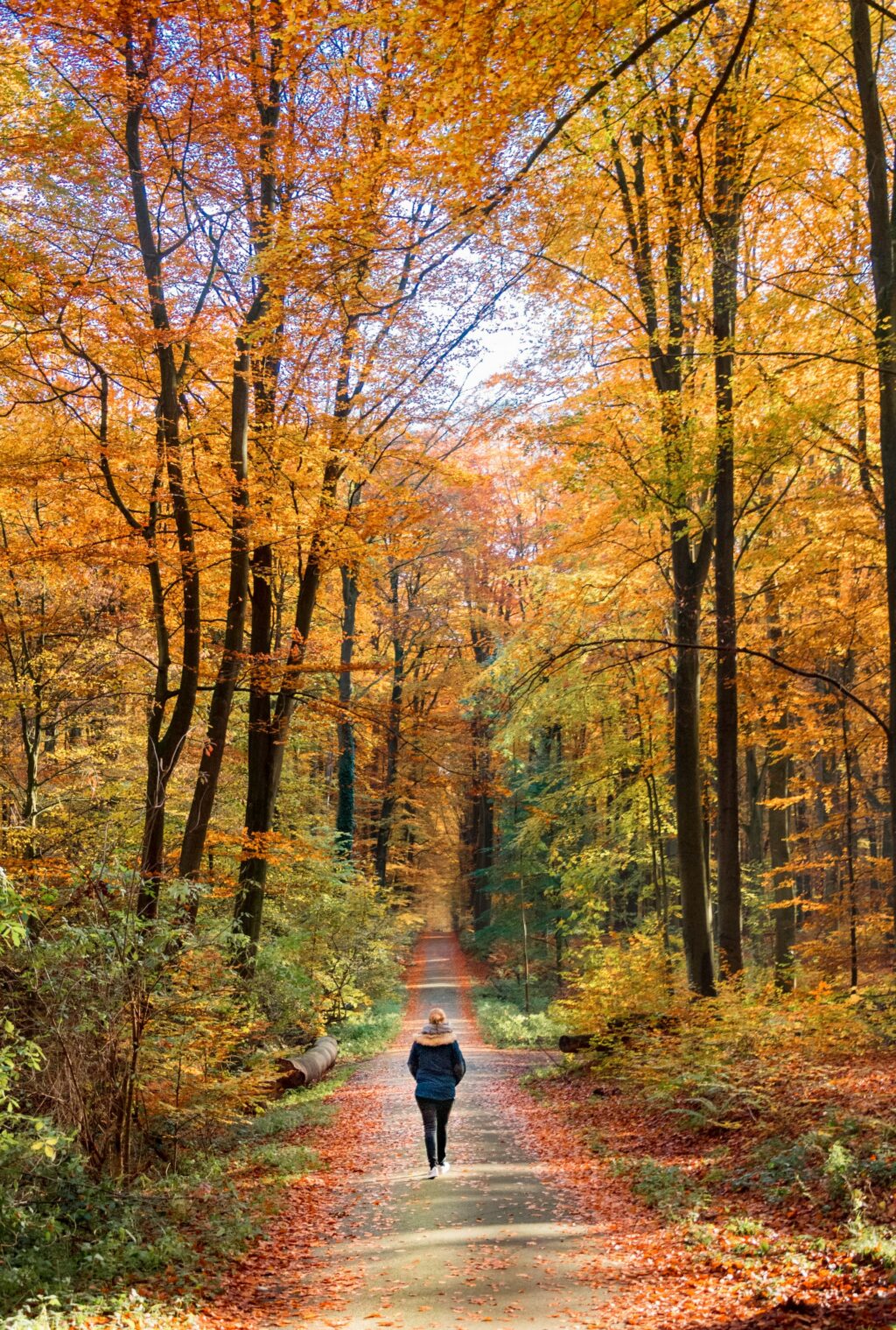 Walking and health.